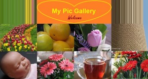 نمایشگاه عکس (My Pic Gallery)